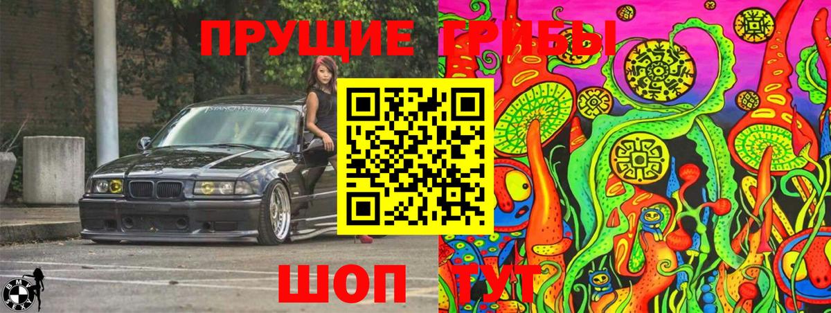 где продают   Галлюциногенные грибы Psilocybe  Вход с VPN  Бузулук 