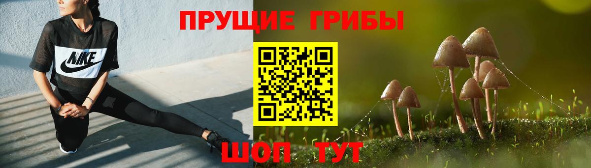 Галлюциногенные грибы GOLDEN TEACHER Бузулук